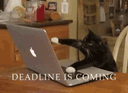 Deadline stress