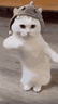 Good night dance