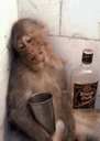 Hungover