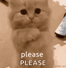 Please