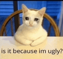 Is it because I'm ugly?